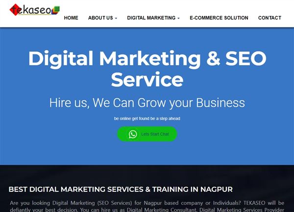 Tekaseo - Digital Marketing & SEO Services Nagpur